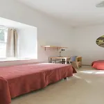 Hostel Inturjoven